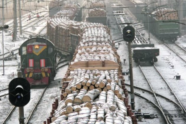 Спад экспорта древесины Китай