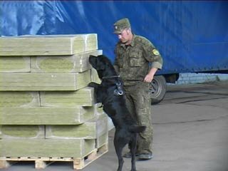 Смоленским таможенникам удалось задержать контрабанду Смоленским таможенникам удалось задержать контрабанду