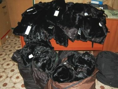 Думали дешевая ткань, оказалась дорогая пушнина