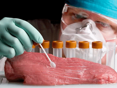 Если в американском мясе будет отсутствовать рактопамин, Россия отменит запрет на его ввоз Если в американском мясе будет отсутствовать рактопамин, Россия отменит запрет на его ввоз