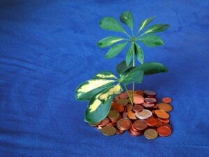 Россия предлагает заключать двусторонние соглашения с офшорами