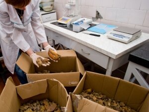 Необычный конфискат на границе