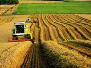 Правительство утвердит субсидии для аграриев