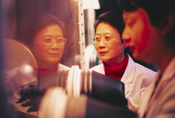 Китайский разработчик; крупный и мелкий оптовик